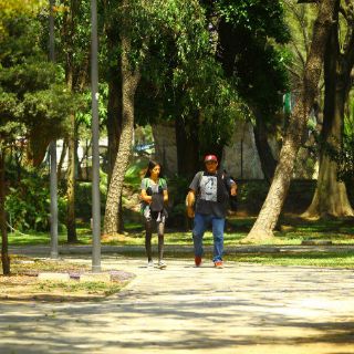 Pretenden elevar el número de visitantes al Agua Azul