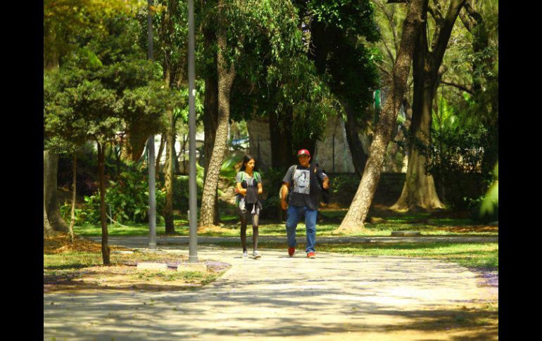 Autoridades fijan como meta 30 mil ingresos ciudadanos al mes, para superar otras administraciones. EL INFORMADOR / E. Barrera