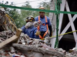 También instaló centros de acopio en 120 tiendas del país.