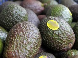 El aguacate se vende hasta en 45 pesos por kilo en mercados de Guadalajara. EL INFORMADOR / ARCHIVO