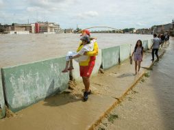 La norteña región Piura ha perdido hasta el momento alrededor de 62 millones de dólares en seis mil hectáreas. EFE / E. Zapata
