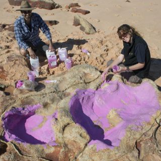 Identificadas 150 huellas de 21 especies de dinosaurios en Australia