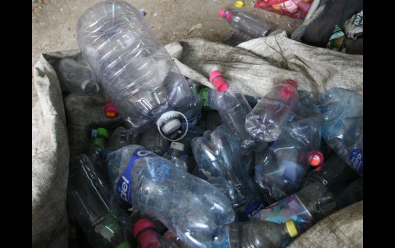 De inicio, separa vidrios, papel, botellas plásticas y latas. EL INFORMADOR / ARCHIVO