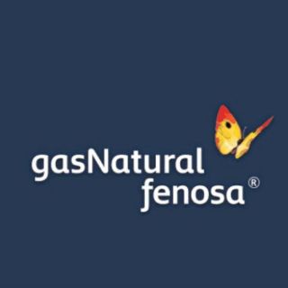 Gas Natural Fenosa invertirá mil 200 MDP este año