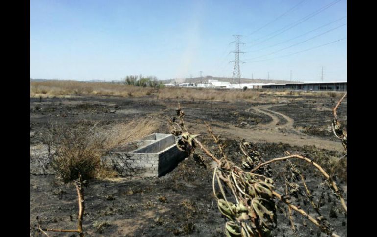 El cadáver fue localizado en un predio ubicado a la altura del Periférico Nuevo y la Calle Las Vías. ESPECIAL /