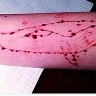 Advierten riesgos por retos durante 50 días en redes sociales