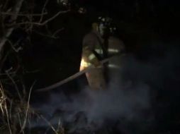 El director del Heroico Cuerpo de Bomberos de la Ciudad de México informó que hicieron lo posible para apagar el fuego. TWITTER / @Raul_Esquivel_C