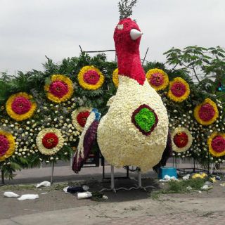 Guadalajara, segundo lugar en consumo de flores en México