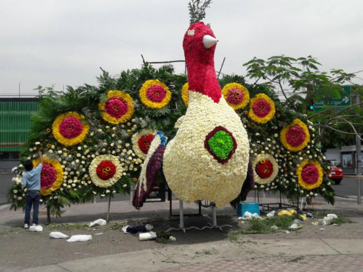 Guadalajara, segundo lugar en consumo de flores en México | El Informador