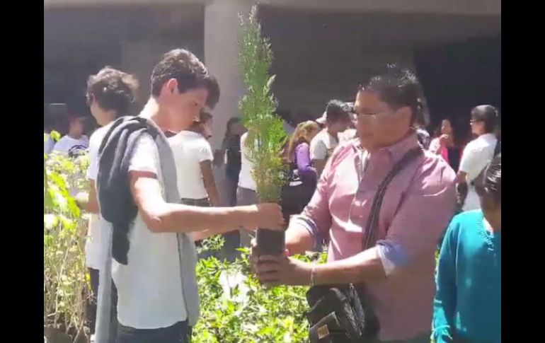 Los jóvenes deberán enviar a Extra una fotografía de los árboles. TWITTER / @GuadalajaraGob