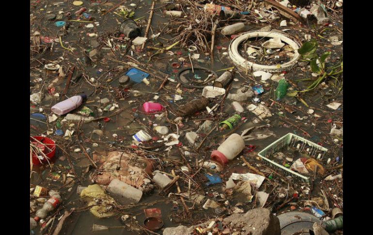 Los residuos plásticos son difíciles de descomponer, contaminan suelo y agua y representan riesgos para la salud humana. EL INFORMADOR / ARCHIVO