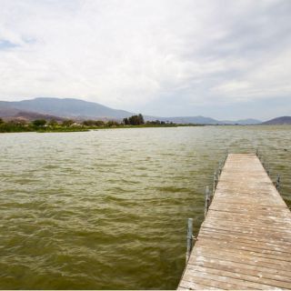 Impulsan soluciones para la Laguna de Cajititlán