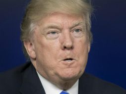 Trump insiste que su gobierno actuará para deportar a aquellos inmigrantes que ''socavan a los trabajadores estadounidenses''. EFE / M. Reynolds