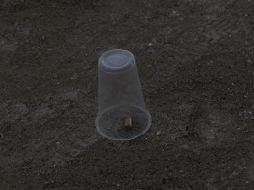 En los lugares se encontraron casquillos percutidos de arma larga calibre 7.62 x 39. EL INFORMADOR / ARCHIVO