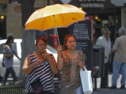 Sugieren permanecer bajo sombra, donde incluso persiste el riesgo de sufrir los efectos del calor. EL INFORMADOR / ARCHIVO