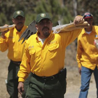Ipejal, dueño de la mitad de El Tepopote