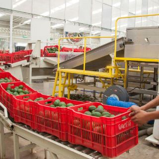 Confianza del consumidor se recupera en marzo: Inegi