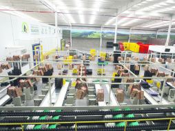 El valor de la producción durante 2015 fue de 15 mil 944 millones de dólares. EL INFORMADOR / ARCHIVO