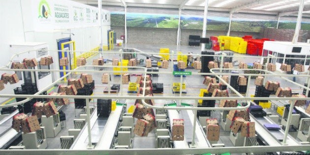 Industria del envase y embalaje proyecta crecer 4% este año | El Informador