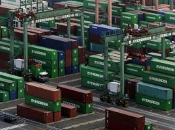 Los principales destinos de los productos jaliscienses son EU, Países Bajos y Canadá. EFE / ARCHIVO