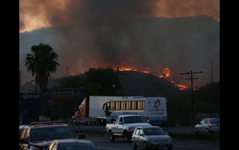 La Proepa hizo oficialmente conocimiento del siniestro a la Profepa, Semarnat y Conafor. EL INFORMADOR / ARCHIVO