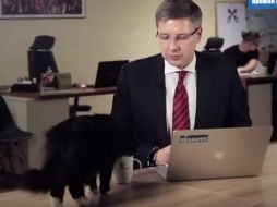 El animal ingresa pavoneándose frente a la toma de la cámara. YOUTUBE / Associated Press