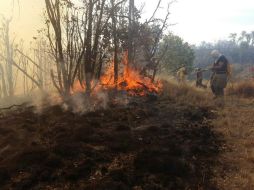 Se quemaron 47 hectáreas correspondientes al municipio de Zapopan. TWITTER / @UMPCyBZ