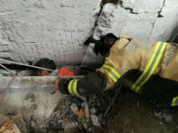 Las estructuras de cemento atraparon a los trabajadores. TWITTER / @Raul_Esquivel_C