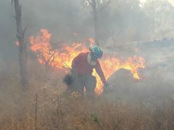 Alrededor de 35 bomberos de Zapopan y de la Conafor combatieron el fuego. ESPECIAL /