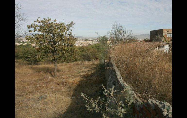 Según el comité, el juez estableció una suspensión definitiva para que no se hagan modificaciones en el Bosque Nixticuil. EL INFORMADOR / ARCHIVO