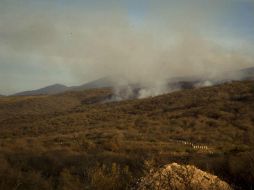 'Tenemos una de las etapas más secas y calientes', advirtió la secretaria de Medio Ambiente y Desarrollo Territorial. EL INFORMADOR / ARCHIVO