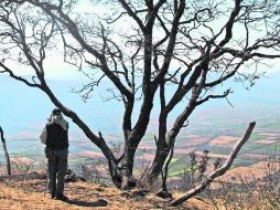 Chale Nafarrete. Gozaba oteando los horizontes de Tuxcacuexca. EL INFORMADOR / P. Fernández