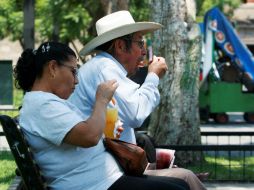 En la mayor parte del territorio nacional permanecerá el clima de cálido a muy caluroso. EL INFORMADOR / ARCHIVO