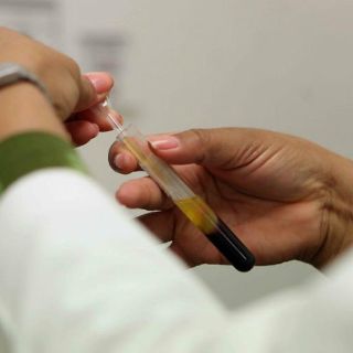 Consideran a la hemofilia como una enfermedad huérfana