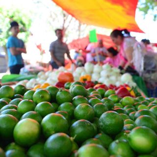 En un mes bajará precio de limón y aguacate