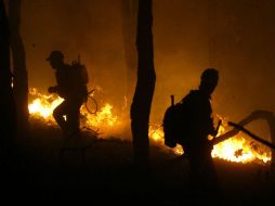 Los municipios de Mascota, Zapopan y Mezquitic, los que mayor número de hectáreas afectadas registran. EL INFORMADOR / ARCHIVO