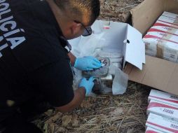 Además de la cocaína, se encontraron 100 paquetes de cigarros de procedencia extranjera. ESPECIAL / Policía Federal