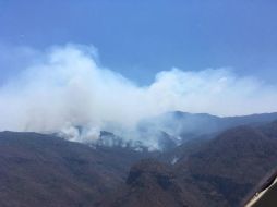 La Semadet pronto dará a conocer la extensión dañada por el incendio. TWITTER / @ReporteForestal