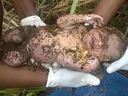 El niño recién nacido fue escuchado por personas que pasaron cerca del sitio donde fue enterrado. ESPECIAL / www.thesun.co.uk