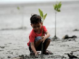 La alfabetización medioambiental y climática acelera el desarrollo de tecnologías y empleos respetuosos con el medio ambiente. AFP / C. Mahyuddin