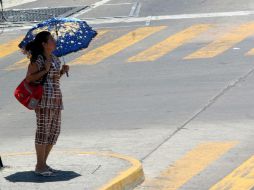 Es importante no exponerse prolongadamente a los rayos del sol e ingerir abundantes líquidos. EL INFORMADOR / ARCHIVO