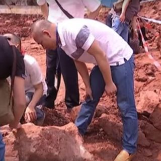 Encuentran fósiles de huevos de dinosaurio en China