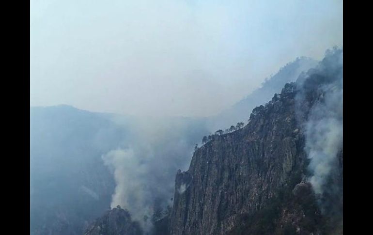 El incendio está ubicado exactamente en el Cerro de la Bandera, y en los parajes Mesa del Chayote y Tanque Verde. TWITTER / @CONAFOR