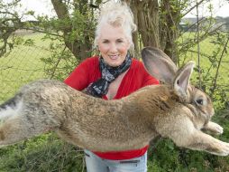 La criadora precisó que ya había enviado conejos a todas partes del mundo y que nada así había ocurrido nunca. ESPECIAL /
