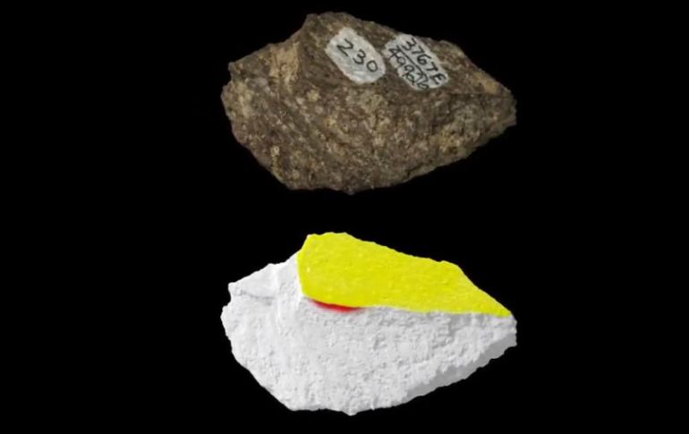 Investigadores hallaron huesos y dientes de mastodonte que fueron evidentemente triturados con piedras. TWITTER / @nature