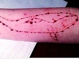 El reto propone a los participantes 50 desafíos para cumplir, el último sería arriesgar su vida. YOUTUBE / DrossRotzank