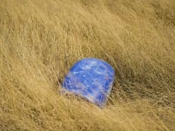 El Ministerio Público de la Federación solicitó y realizó la diligencia de cateo. EL INFORMADOR / ARCHIVO