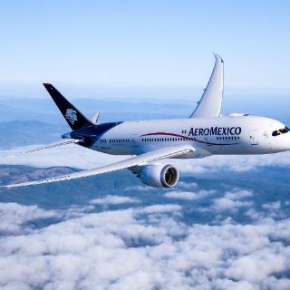 La Profeco va contra aerolíneas por cobro en equipaje