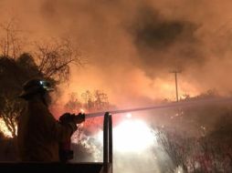 Afecta aproximadamente una hectárea de maleza, hojarasca y arbustos pequeños. EL INFORMADOR / ARCHIVO