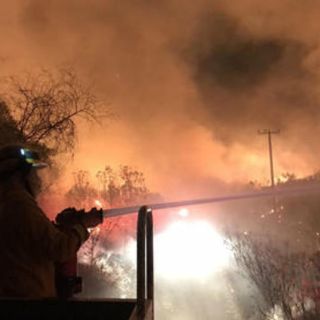 Sofocan incendio en el bosque El Nixticuil